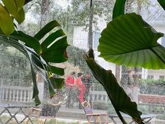 -J Create城市露营咖啡·简餐·宠物(上海动物园店)