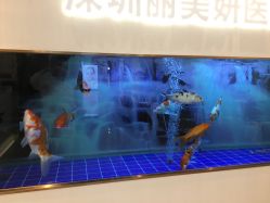 -丽美妍医疗美容·皮秒·立体分层抗衰