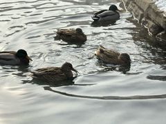 -水磨沟公园
