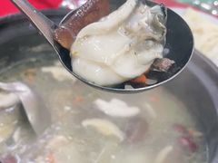 -花苑美食横琴生蚝火锅(拱北粤华路店)