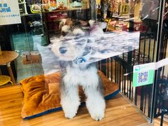 -小尾巴宠物店(万科·金域华庭店)