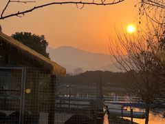 -苏州太湖西山岛开心农场