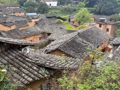 -杨家堂村