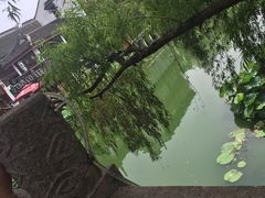-小杨生煎(火车站北广场店)