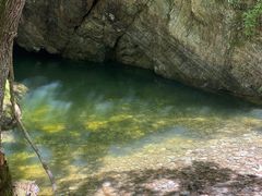 -牛背梁国家森林公园