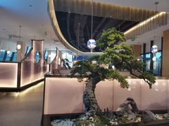 -马家斑.鲜鱼火锅(松湖万科店)