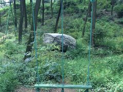 iphone_upload_pic-鲁山国家森林公园