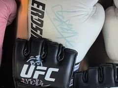 -花环泰拳·勒德斯拉泰拳馆(静安店)