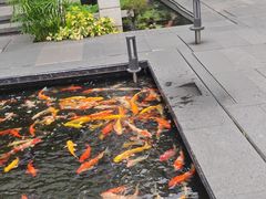 -广州白天鹅宾馆