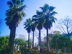 -三江森林温泉度假区