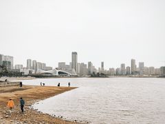 -金沙湖公园