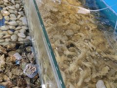 -港畔赶海蒸汽海鲜烧烤自助(仙螺岛店)