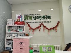 -悦宠凯宝动物医院·牙科·皮肤科(朝阳北路店)