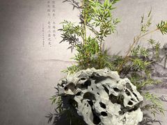 -深圳博物馆(古代艺术馆)