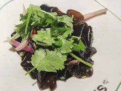 清清爽爽小木耳-撒椒·四川江湖菜(西单大悦城店)
