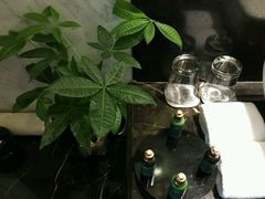 -深圳东部华侨城茵特拉根酒店