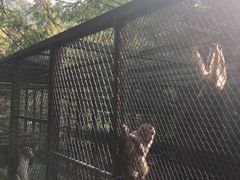 -藏龙百瀑风景区