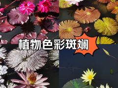 -国家植物园南园