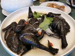 药膳鸡-沙龙酒家