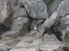 -天宫洞