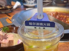 -楠火锅(哈尔滨金爵万象店)