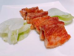 巴马小香猪-西郊壹号