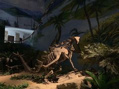 -自贡恐龙博物馆