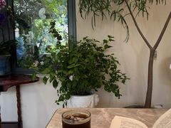 -花神·轻食简餐·咖啡馆·花卉绿植(荷兰花卉小镇店)