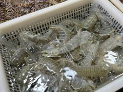 -都斛海鲜街