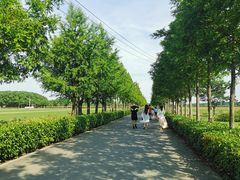 -嘉北郊野公园