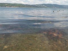 -阳宗海湿地