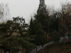 -黄村公园