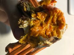 阳澄湖大闸蟹-黄记大闸蟹专卖店·活蟹·醉蟹