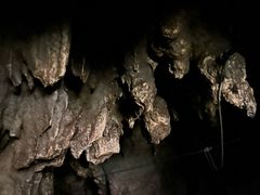 -怀托摩萤火虫洞