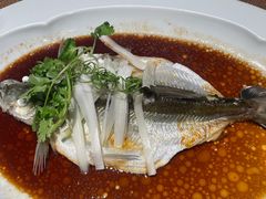 -宁波柏悦酒店·钱湖渔港