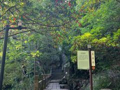 -大慈岩风景区