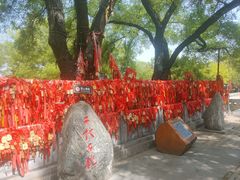 -大槐树寻根祭祖园