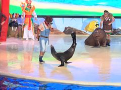 -三亚海昌梦幻海洋不夜城