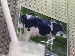 -义顺牛奶公司(板樟堂店)