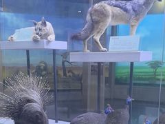 -国家自然博物馆