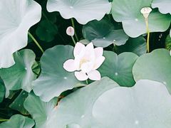 -龙环葡韵住宅式博物馆