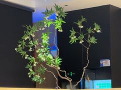 -新太二·鲜料川菜(智慧城广百店)