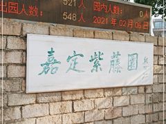 -嘉定紫藤园