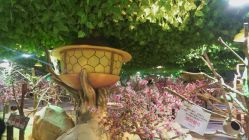 -酷嗒动物文化乐园(cutezoo西溪乐天城店)