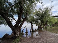 -捞渔河湿地公园