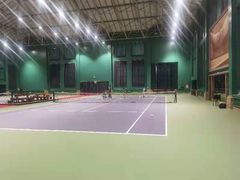 -齐动力网球(星河湾基地店)