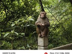 -黔灵山公园
