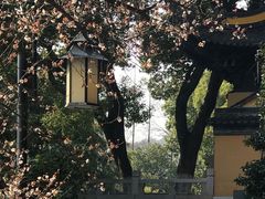 -宝岩生态观光园