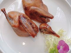 -喜粤8号(四海唐人街店)