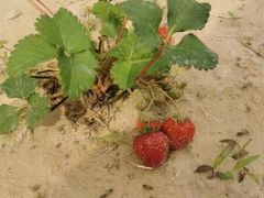 -华杉幼儿园(国美校区)